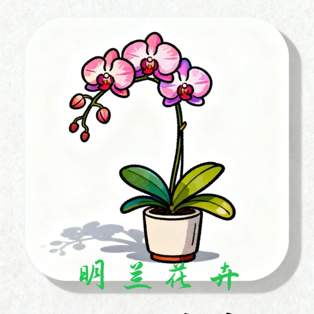 明兰花卉