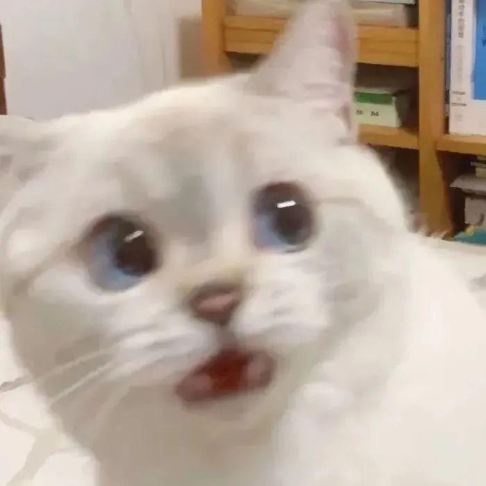 十九.