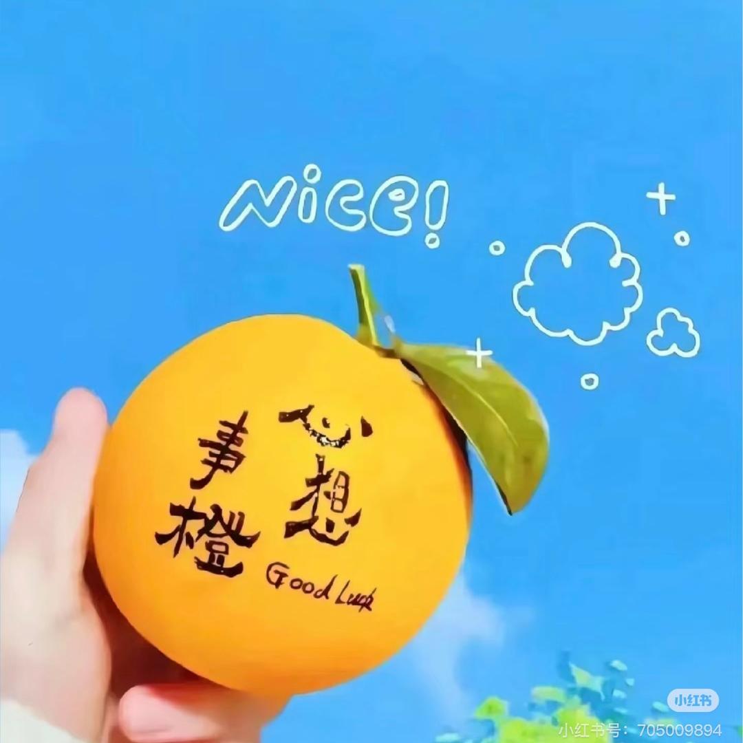 躺赢兔兔