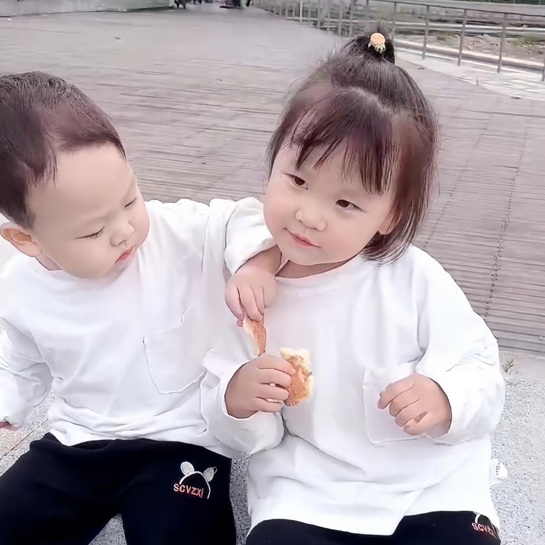 毛毛与木木
