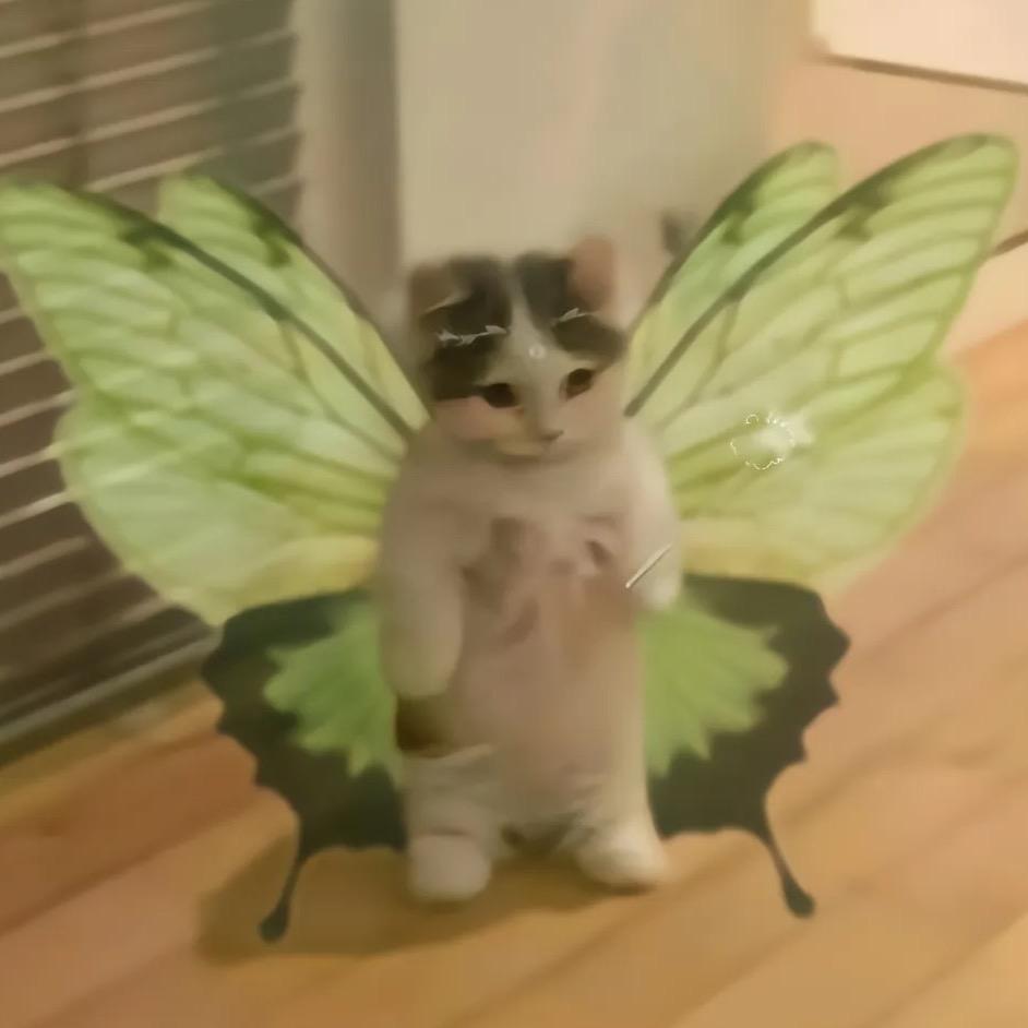 Y¥