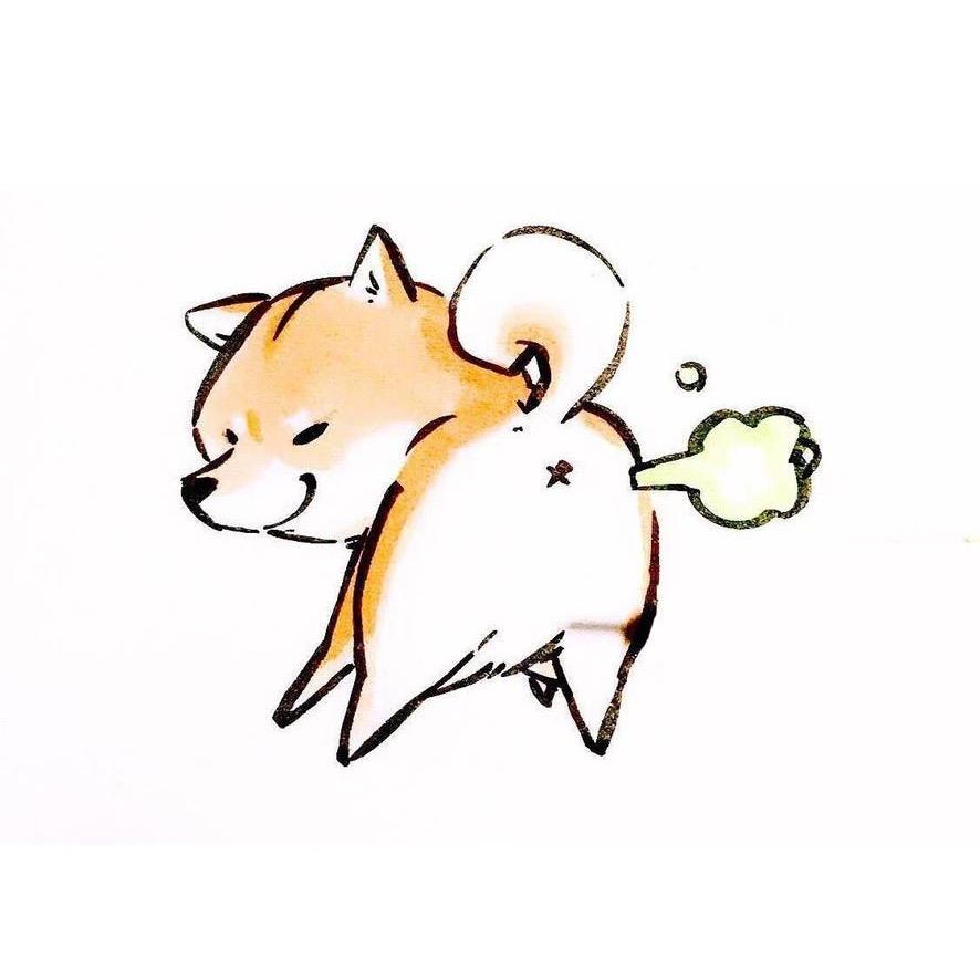 小小羊