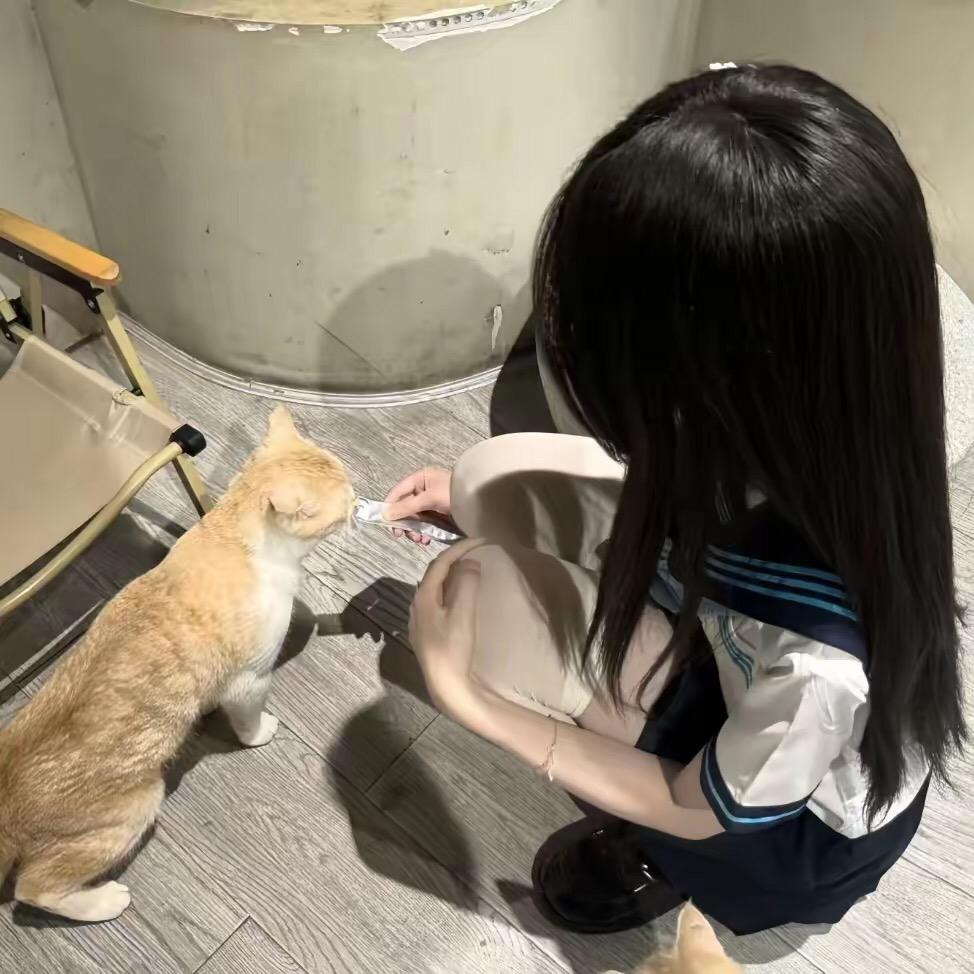 容嬷嬷不扎针
