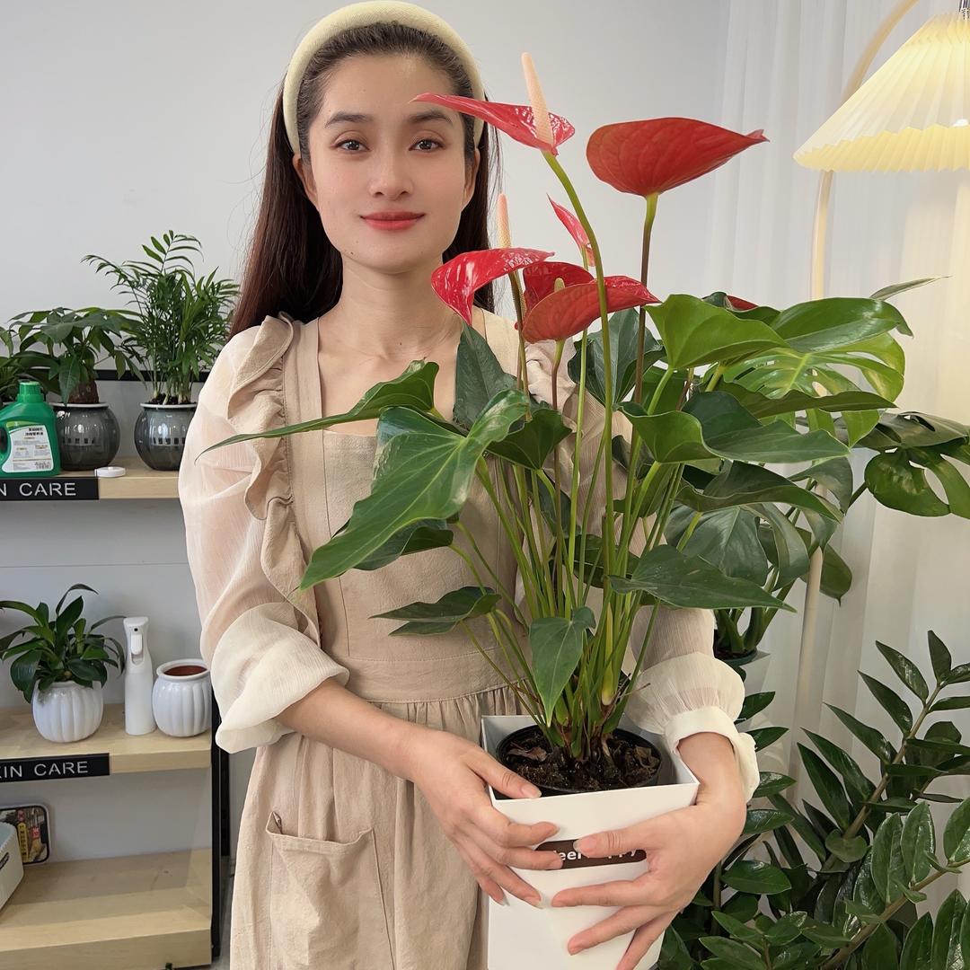金玉满堂绿植基地