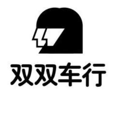 重庆双云双二手皮卡