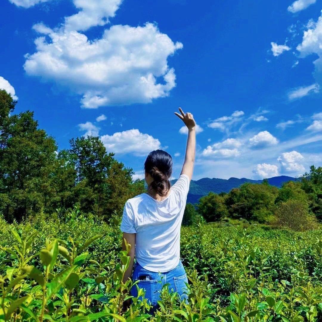 为何坚持善良