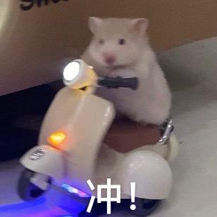 爱哭鬼🐻（有很多可爱的小熊👇🏻）