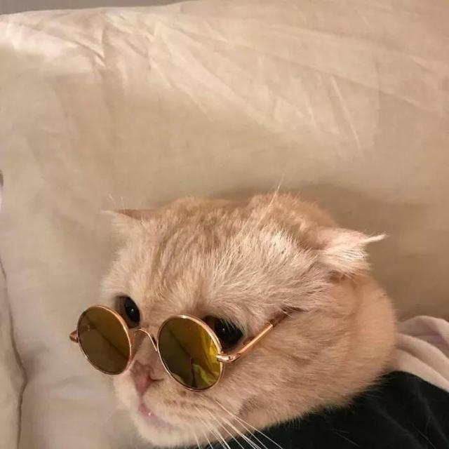陈.