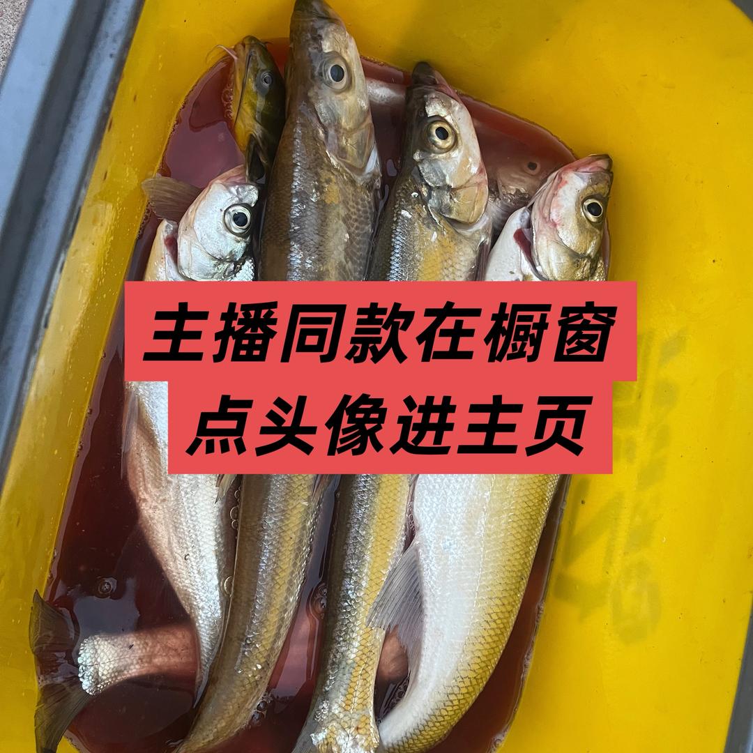 佳鸿甄选