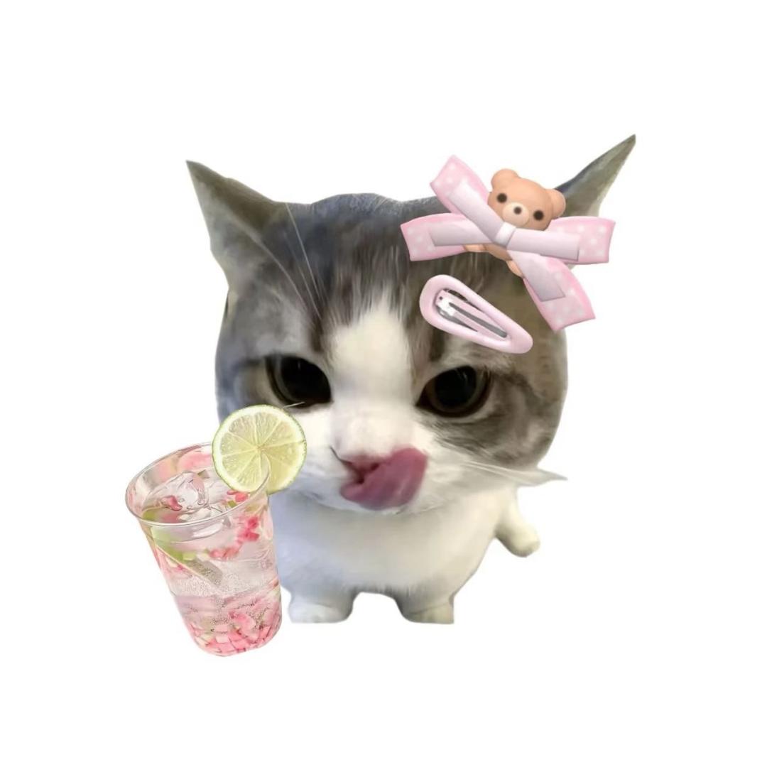 不吃香菜.