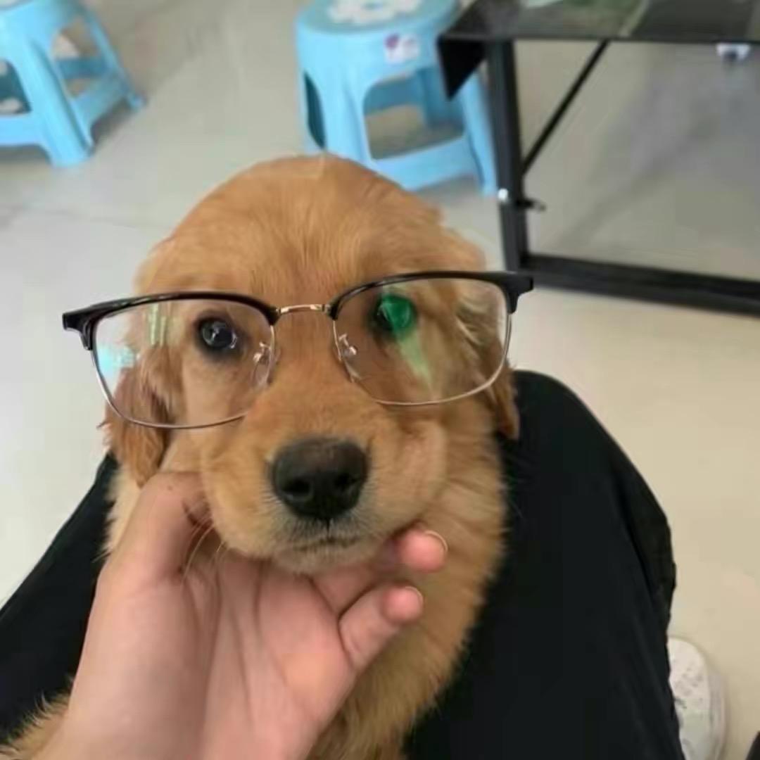 西湖🐟