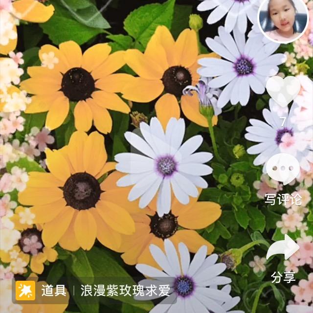 老姐