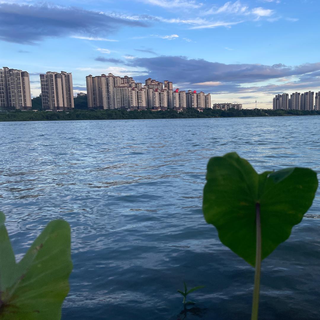 杜同学