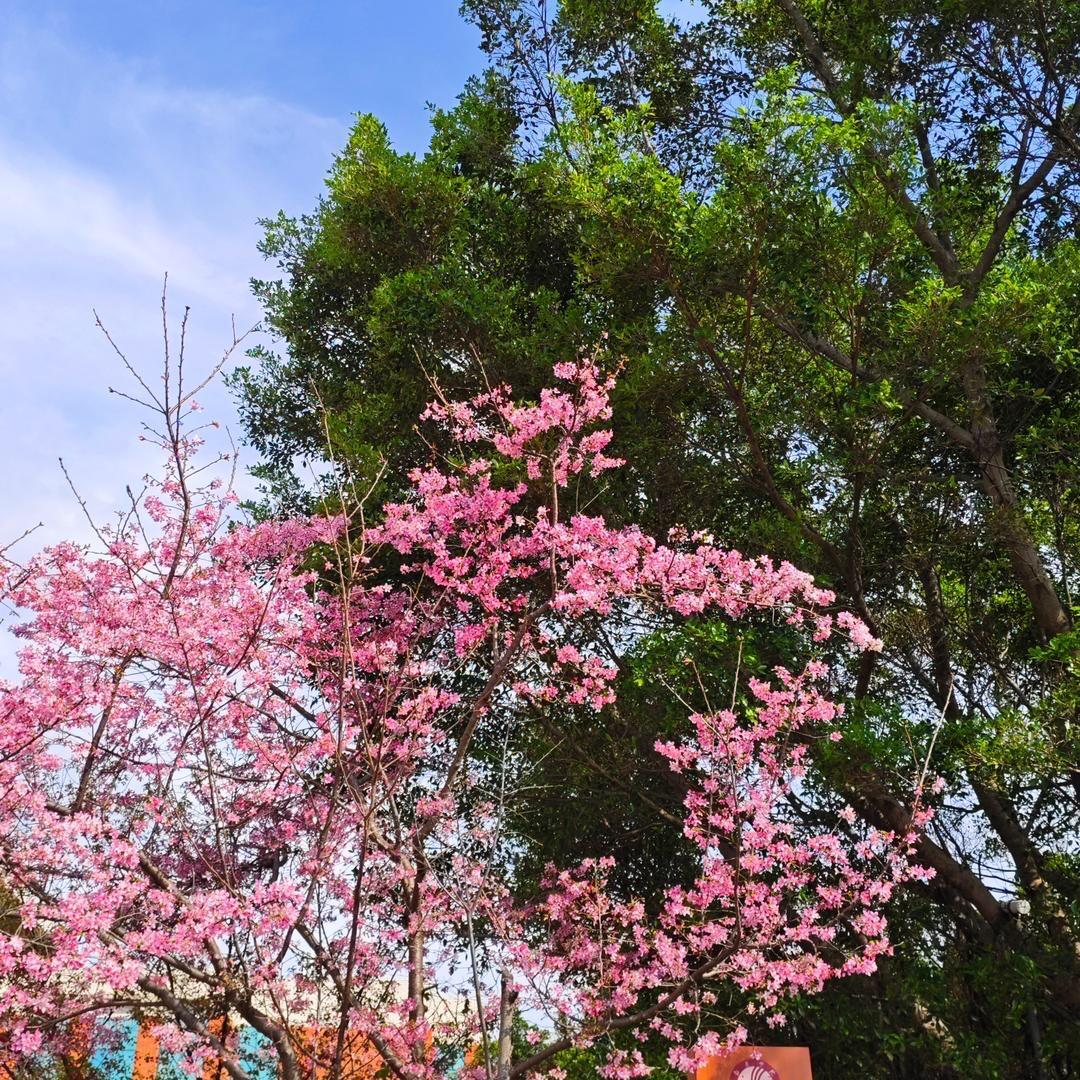 溜溜