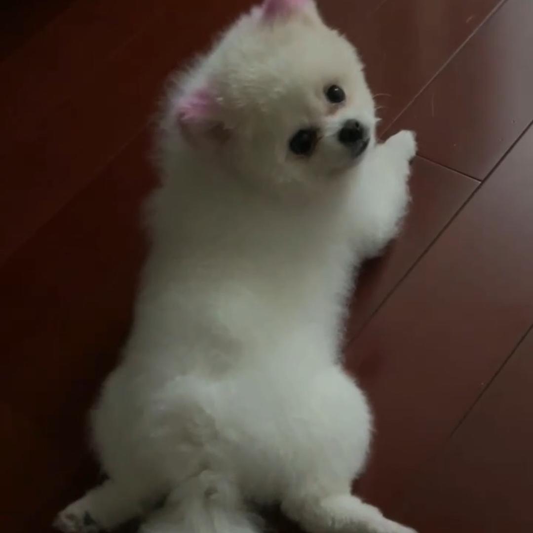 小小王👑