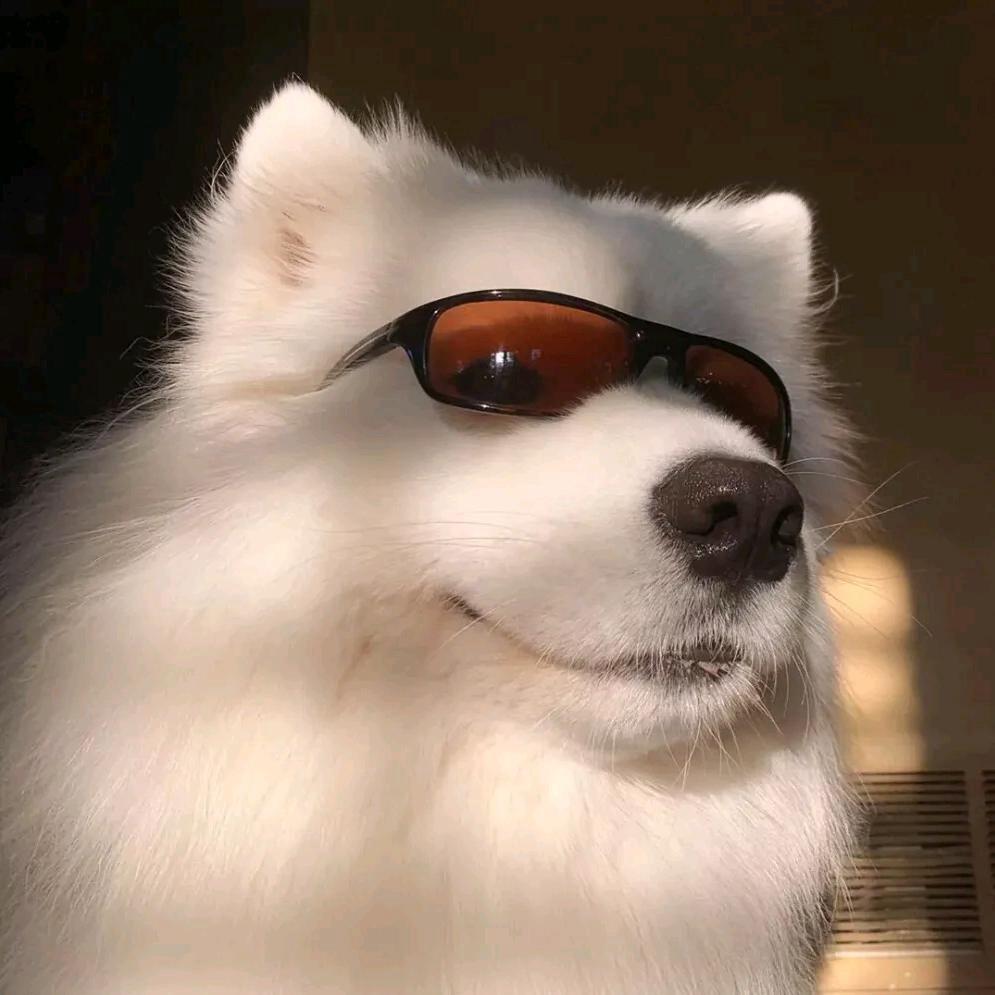 676767