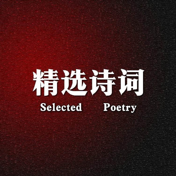 精选诗词