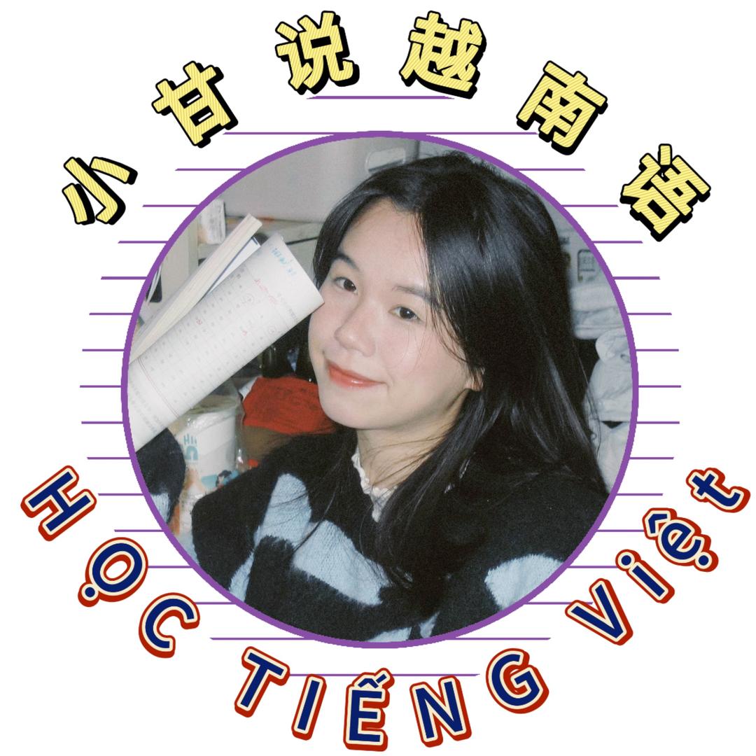 小甘说越南语🇨🇳🇻🇳昆明翻译
