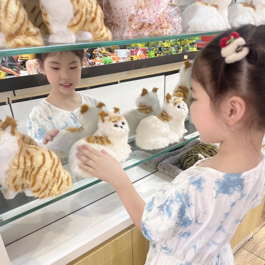 阳阳得意的金金