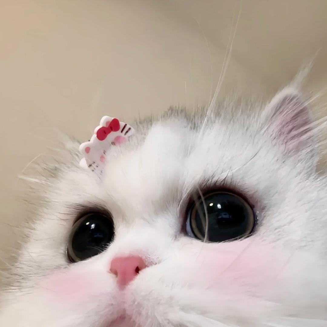 樂婷^