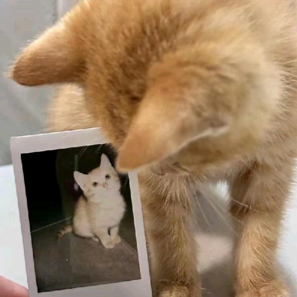 421
