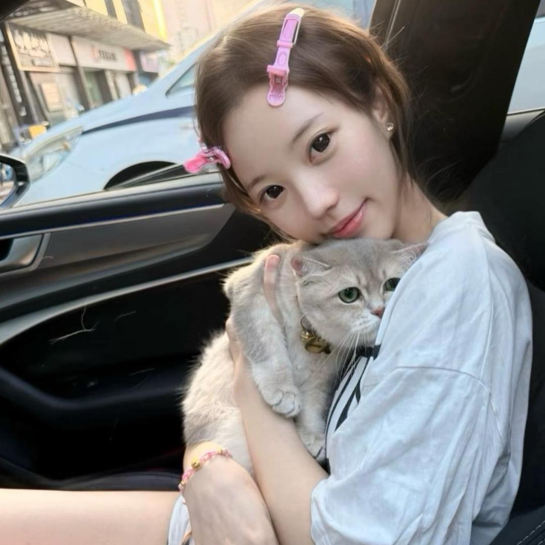 小Y