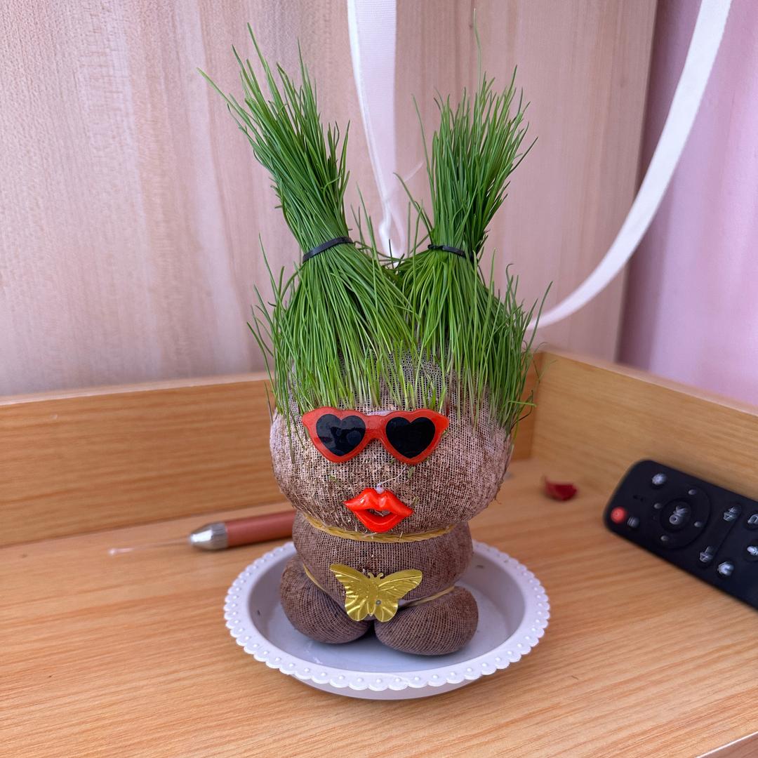 Mr. 肖。