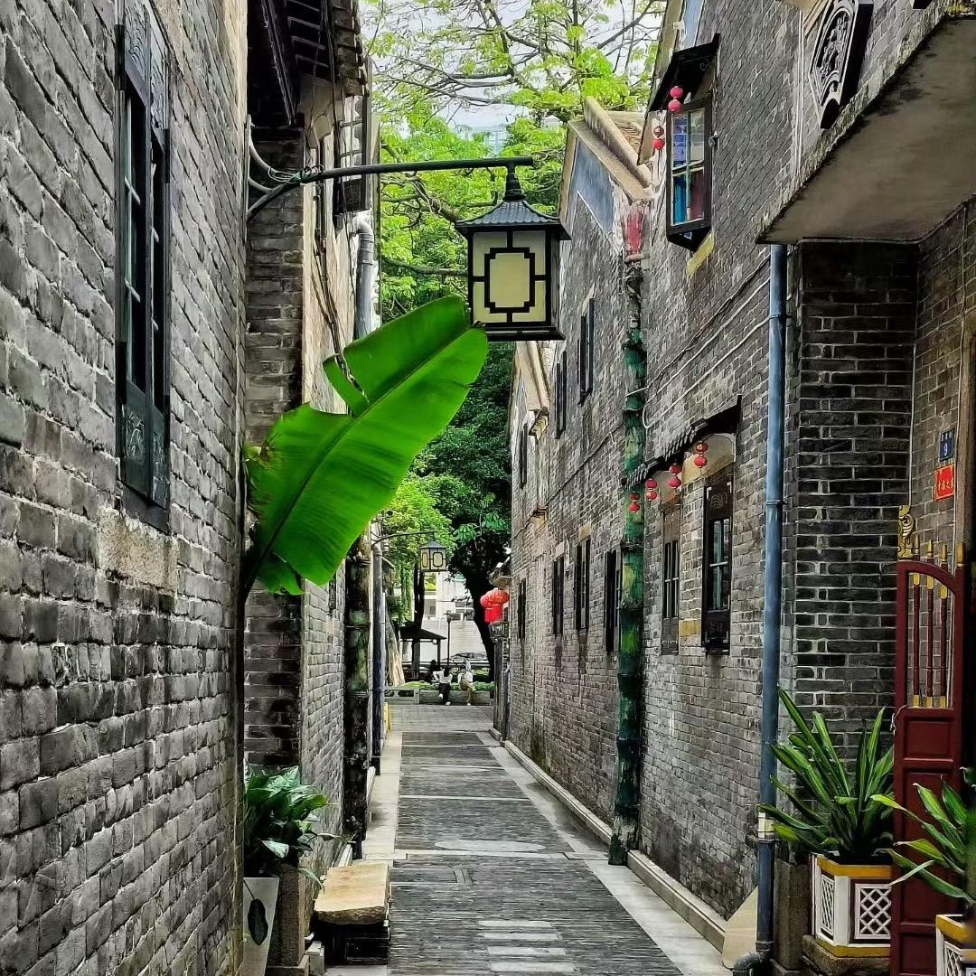 随心所愿