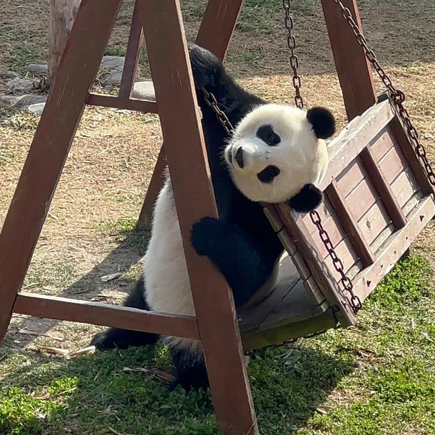 是多多吖
