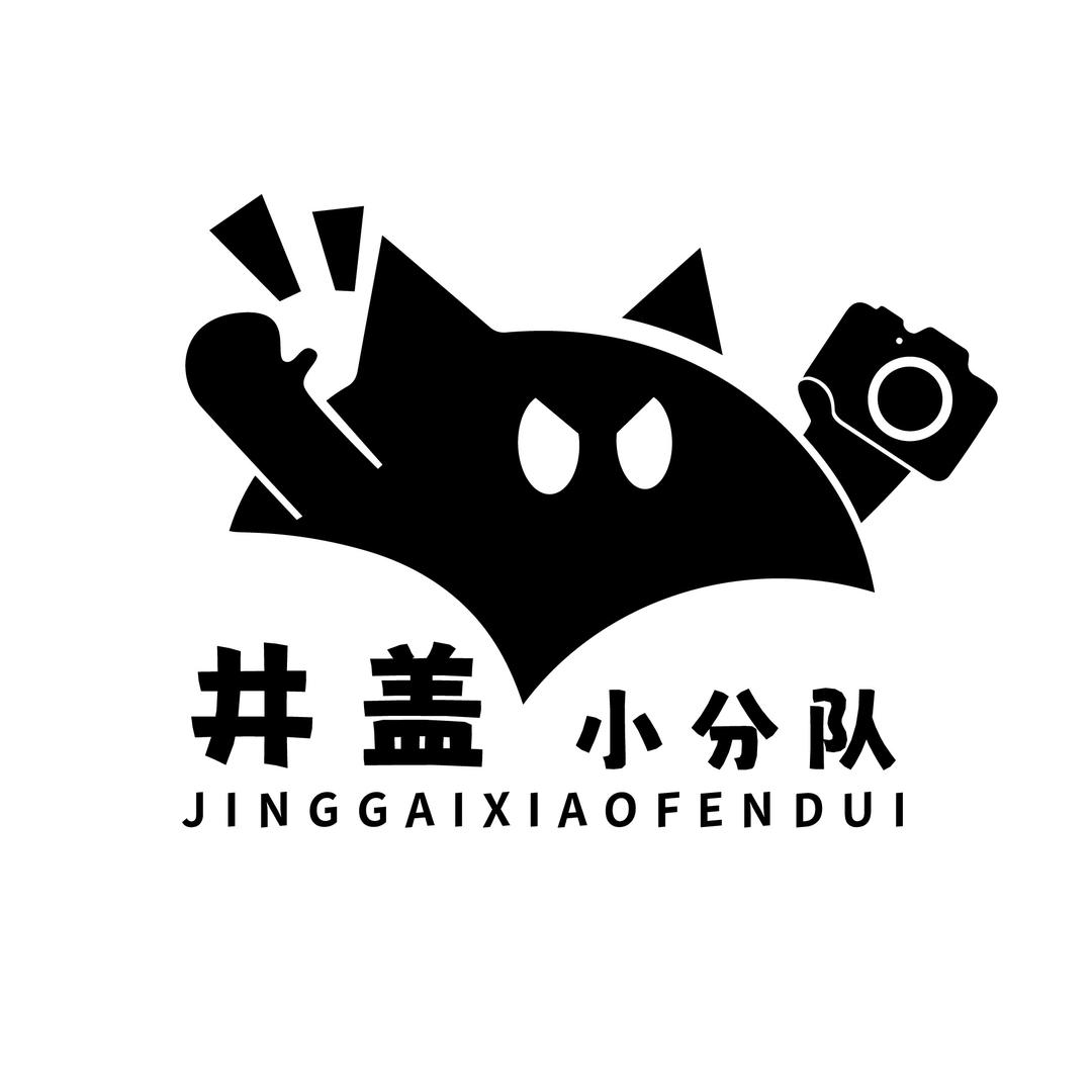 井盖小分队