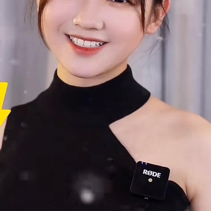 金毛鼠