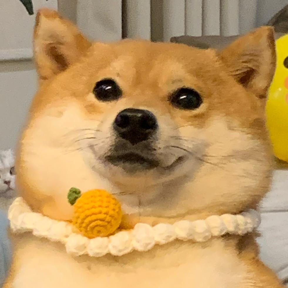 快乐达哥一家