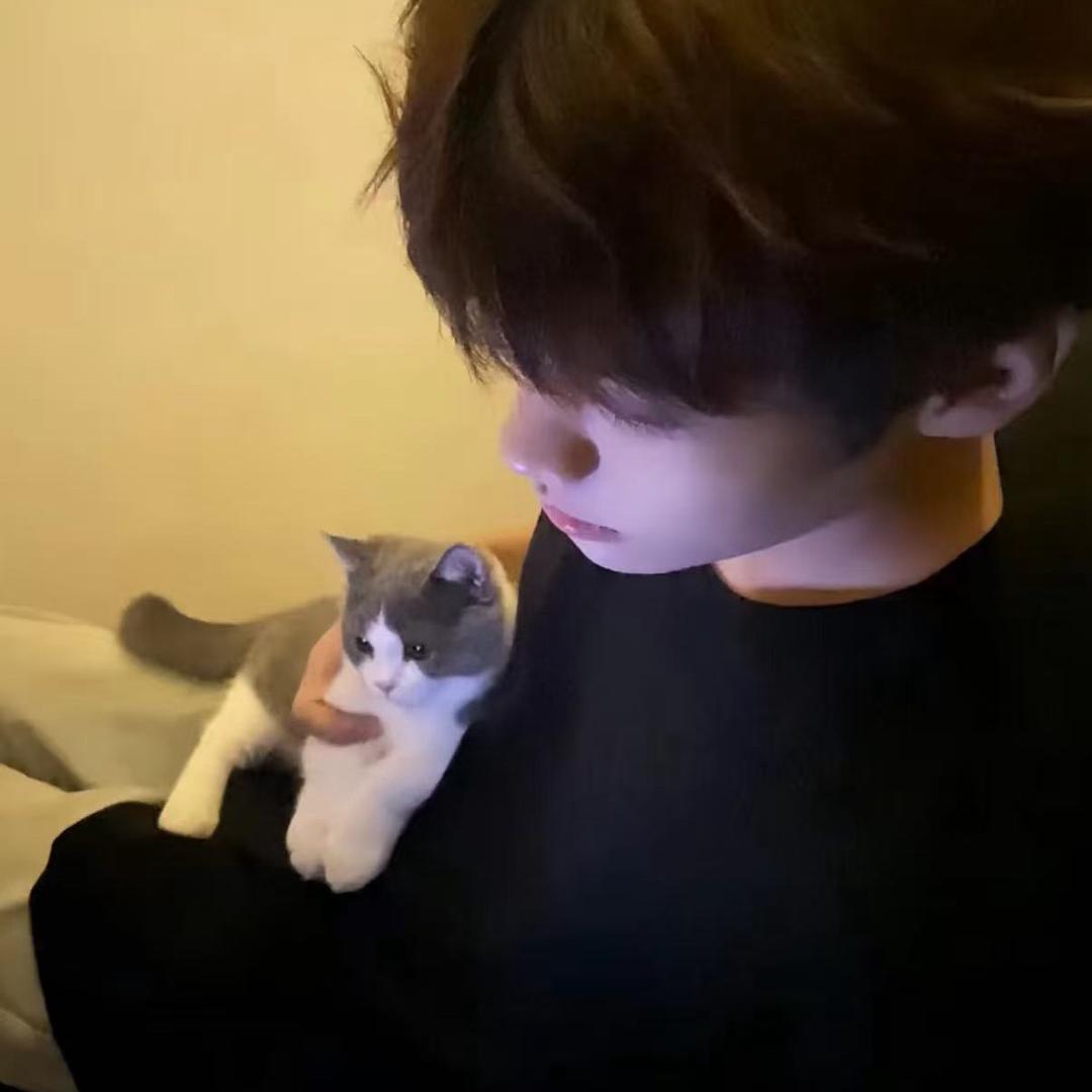 夜轩