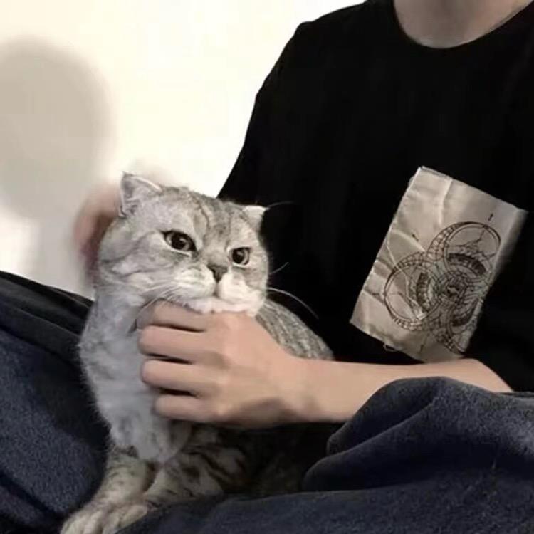 yccc