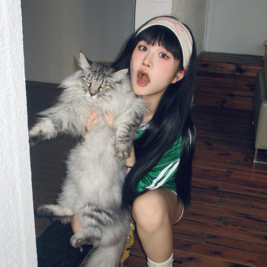 卡卡家的喵🐱
