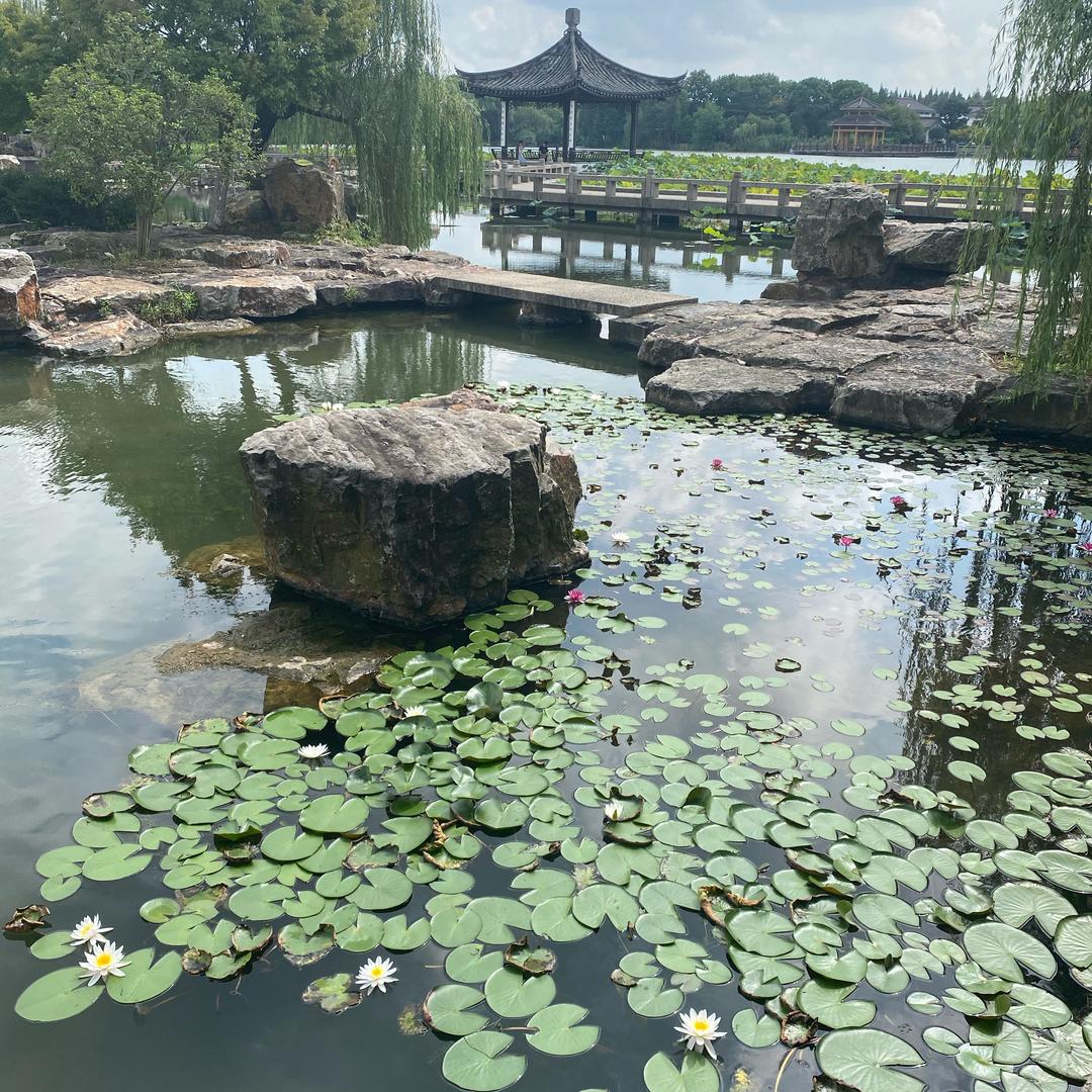 任小桃服饰穿搭