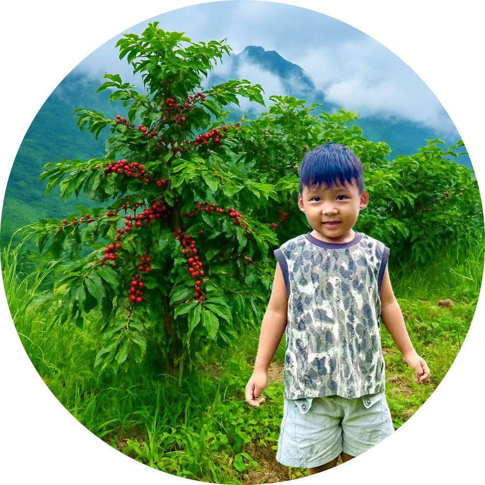 尼泊尔咖啡小王子