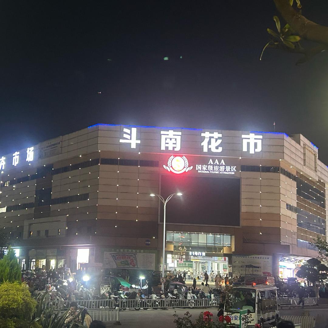 斗南#花公子花卉批发