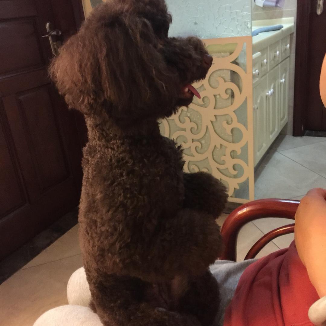 天哥