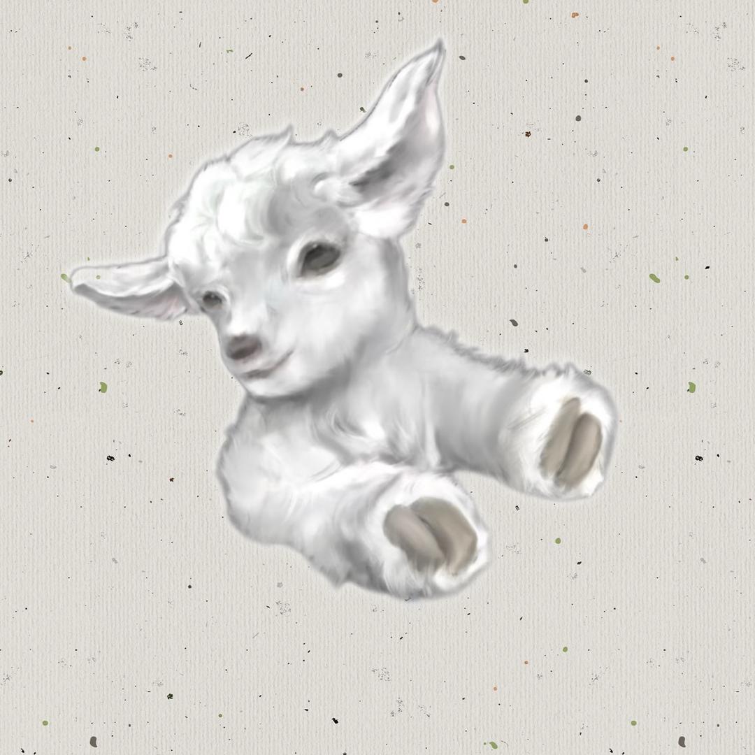 Auru