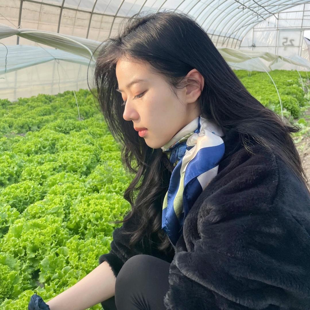 程程好物
