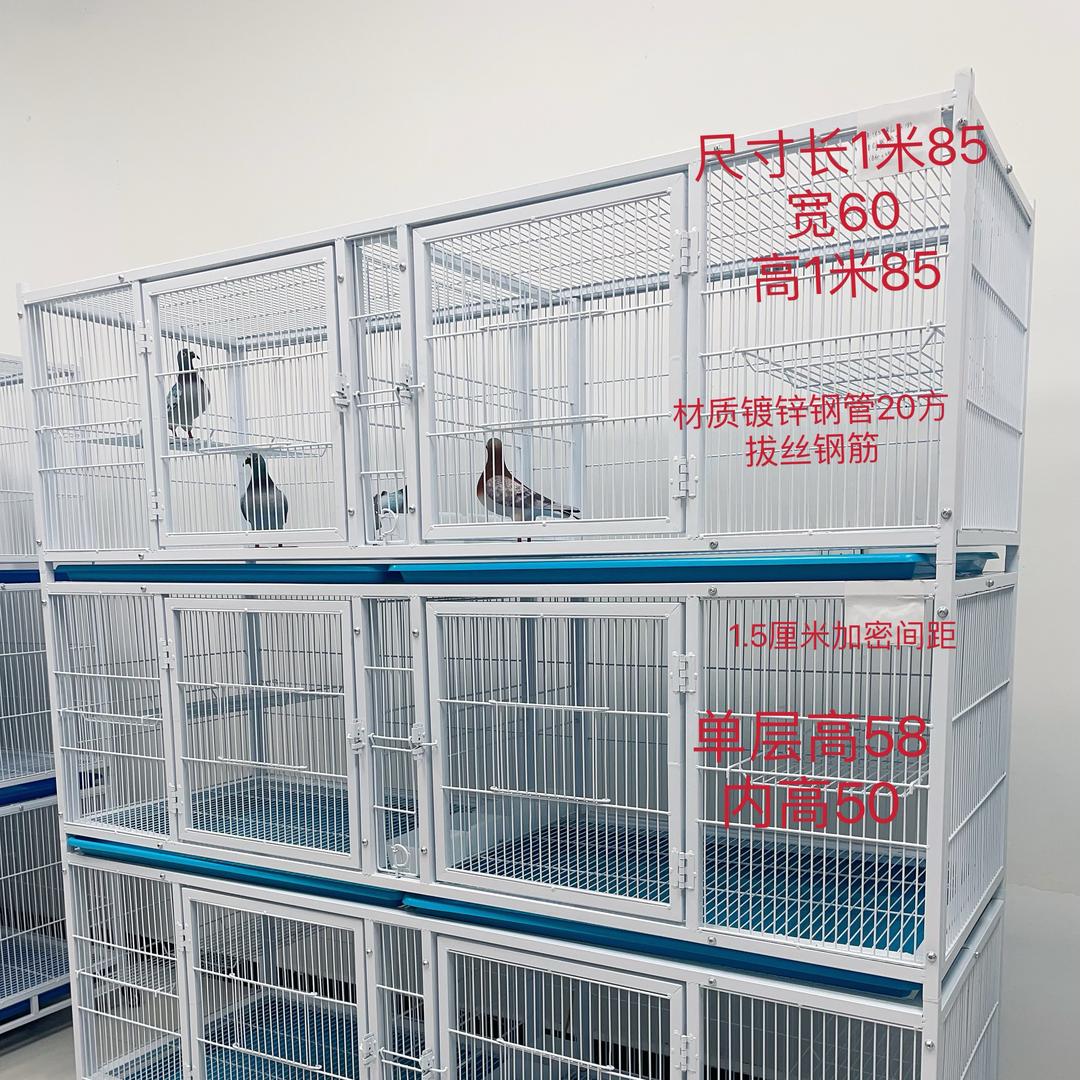 天津鸽笼厂家