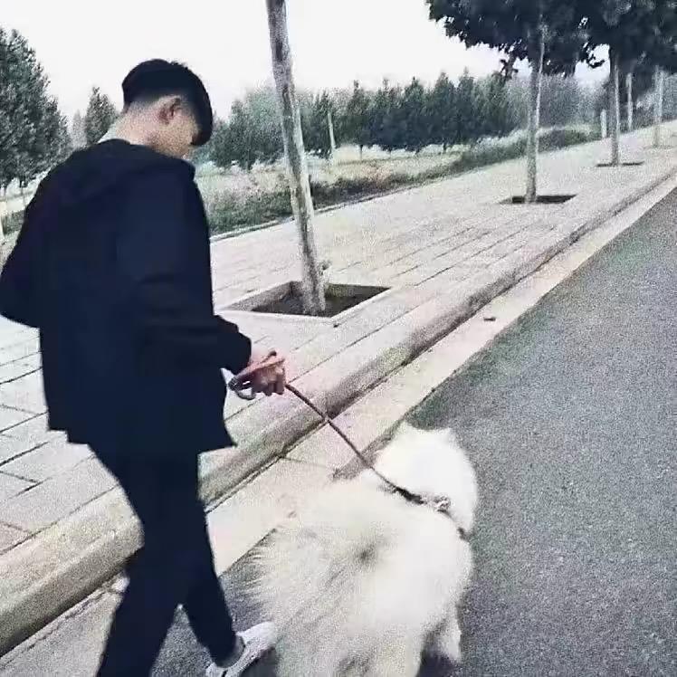 张小
