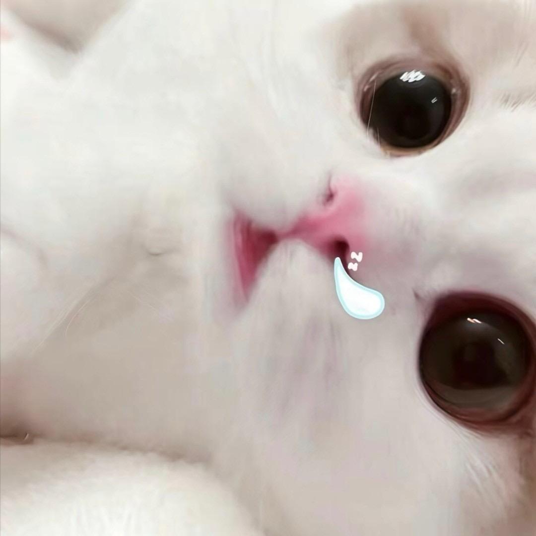 瑶妹