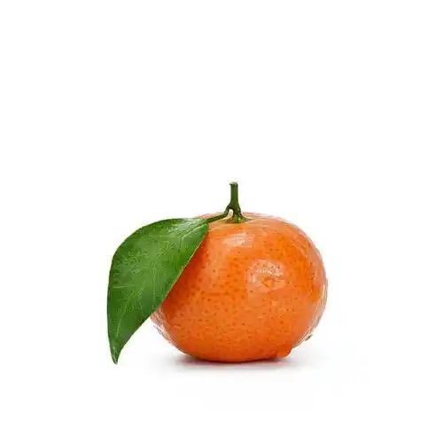 砂糖橘