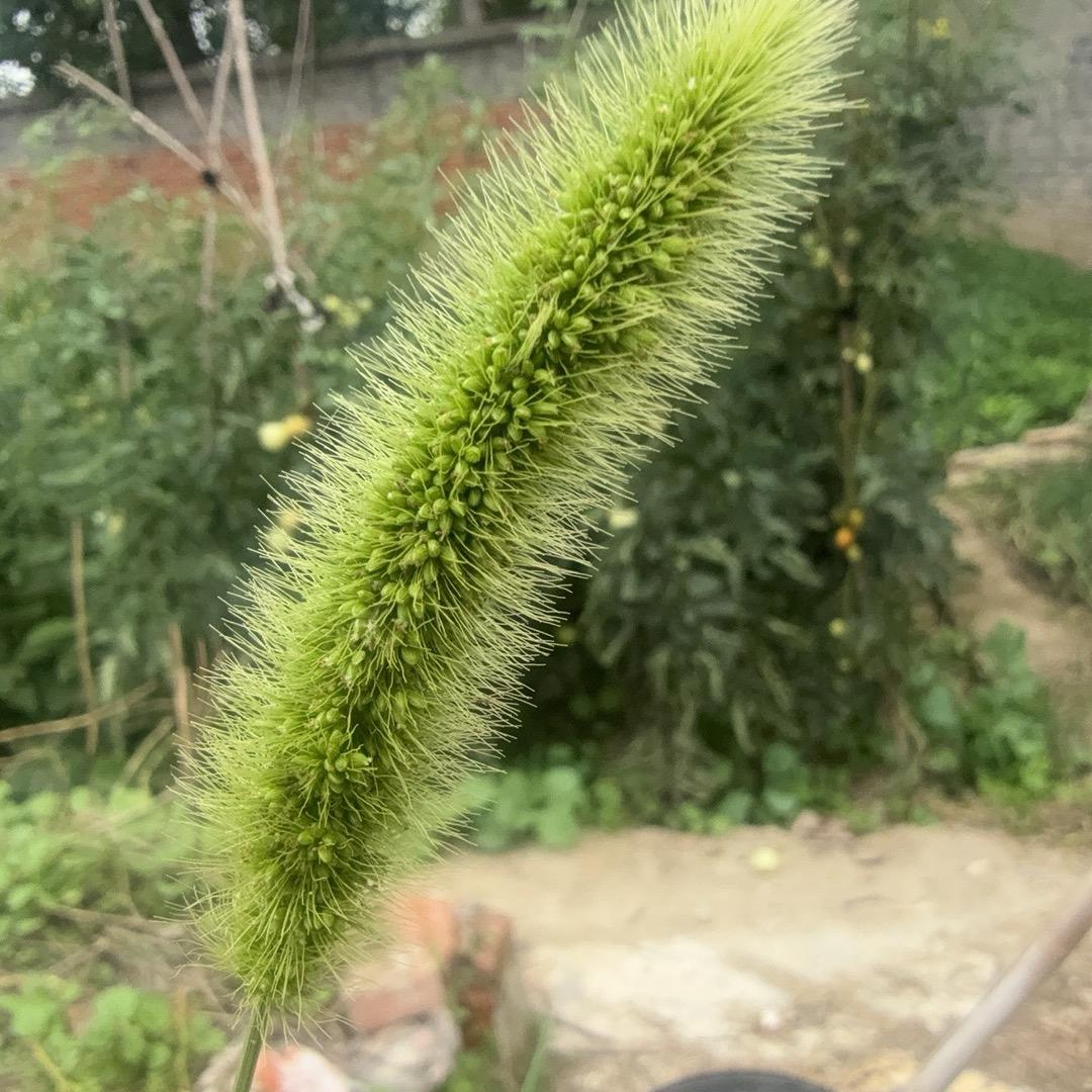 @俩宝贝的日常