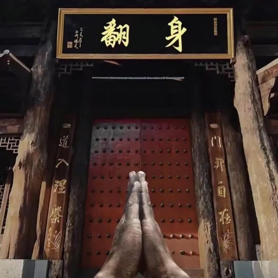 佛恩冯🔆
