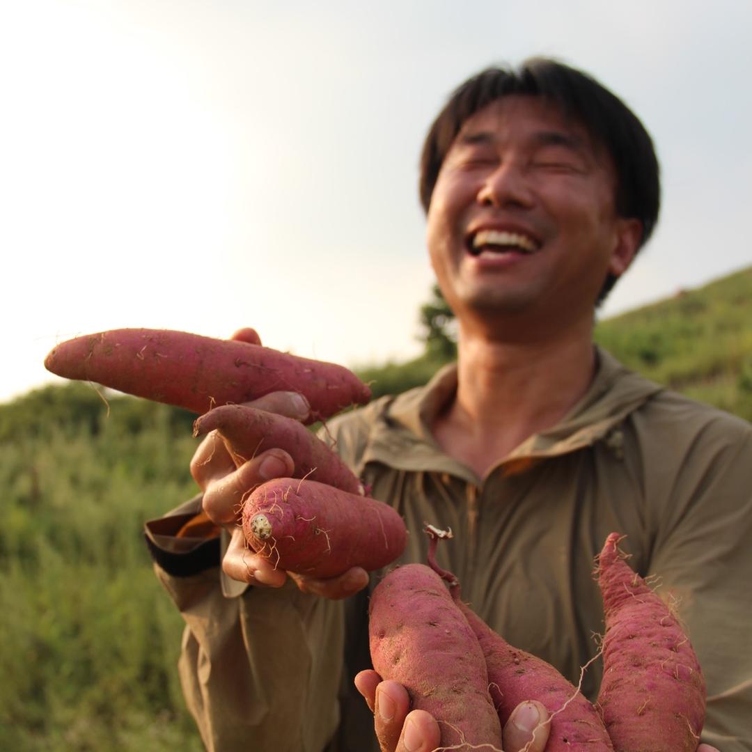 夏花秋成农场