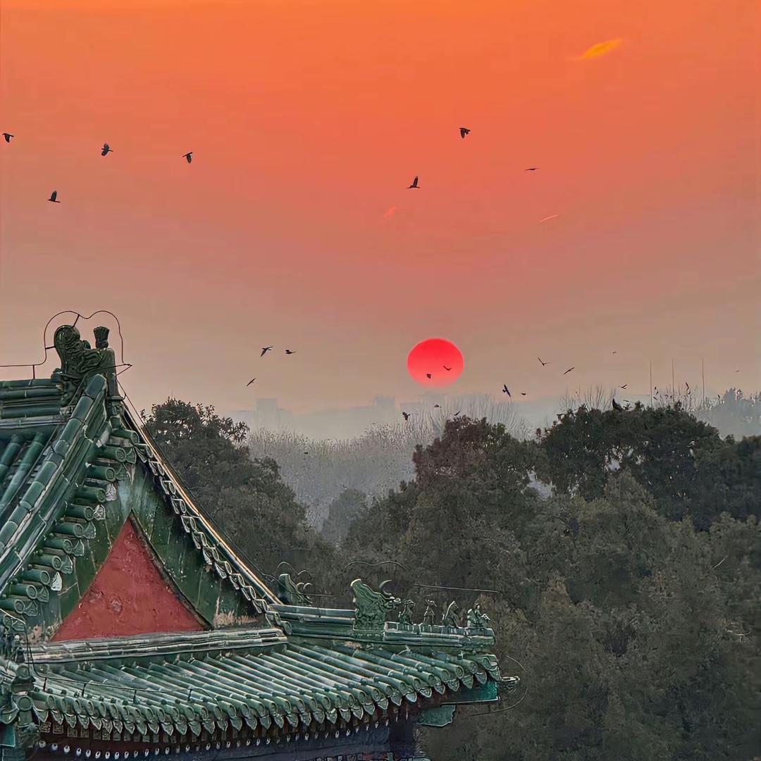 成林