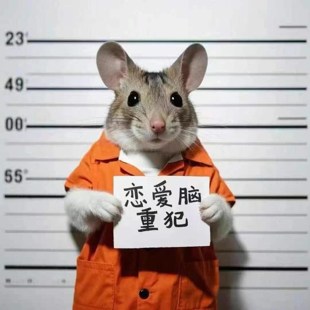 二娃